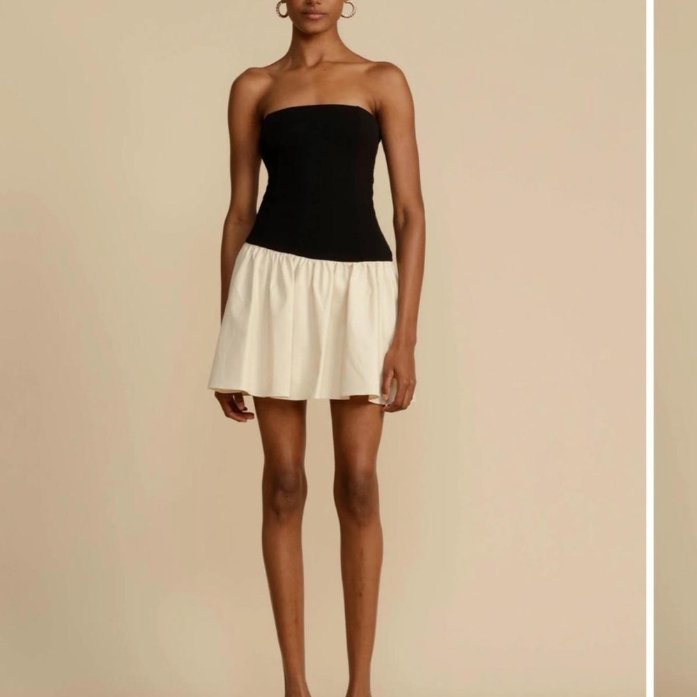 Arcina Ori Celine dress NWT